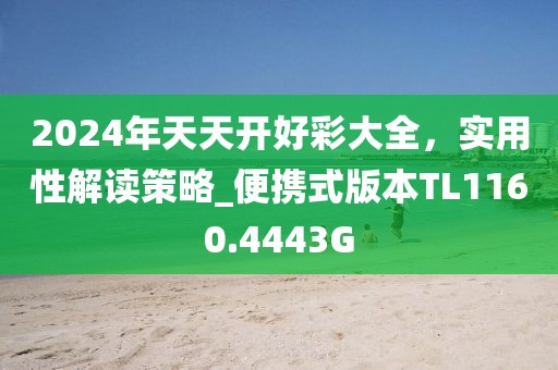 2024年天天开好彩大全，实用性解读策略_便携式版本TL1160.4443G