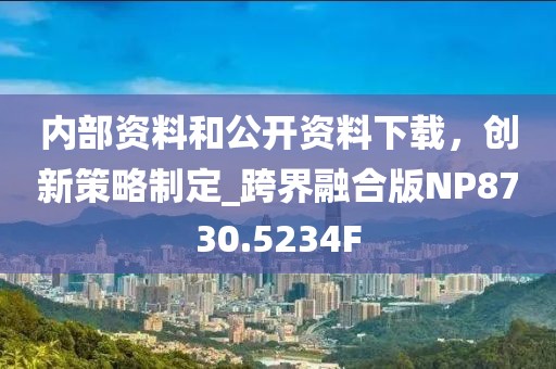 内部资料和公开资料下载，创新策略制定_跨界融合版NP8730.5234F