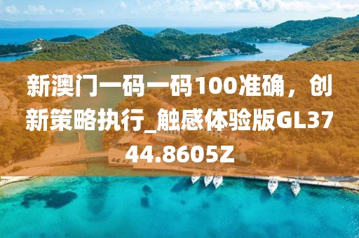 新澳门一码一码100准确，创新策略执行_触感体验版GL3744.8605Z