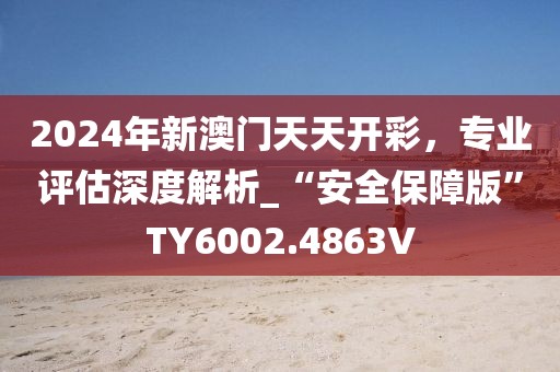 2024年新澳门天天开彩，专业评估深度解析_“安全保障版”TY6002.4863V