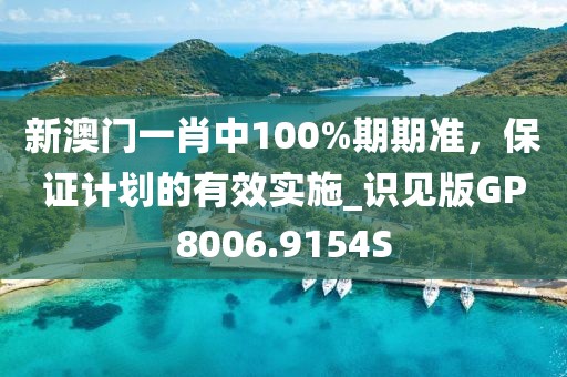 新澳门一肖中100%期期准，保证计划的有效实施_识见版GP8006.9154S