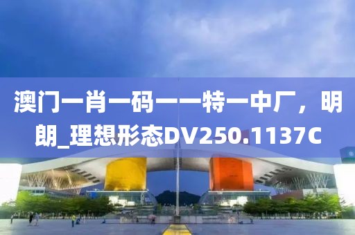 澳门一肖一码一一特一中厂，明朗_理想形态DV250.1137C
