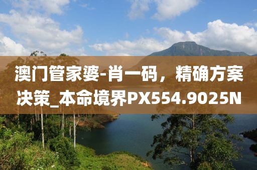澳门管家婆-肖一码，精确方案决策_本命境界PX554.9025N