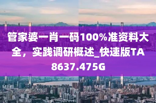 管家婆一肖一码100%准资料大全，实践调研概述_快速版TA8637.475G