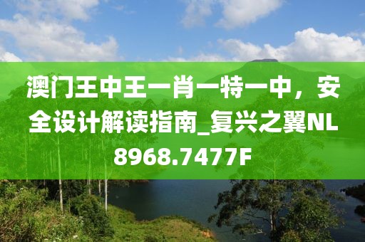 澳门王中王一肖一特一中，安全设计解读指南_复兴之翼NL8968.7477F