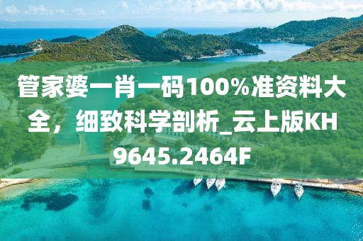 管家婆一肖一码100%准资料大全，细致科学剖析_云上版KH9645.2464F