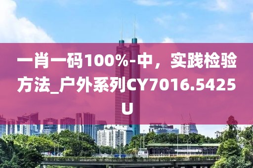 一肖一码100%-中，实践检验方法_户外系列CY7016.5425U