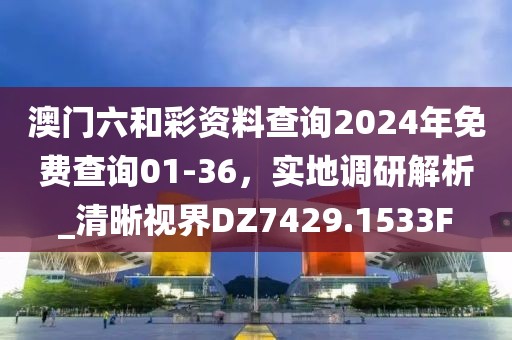 澳门六和彩资料查询2024年免费查询01-36，实地调研解析_清晰视界DZ7429.1533F