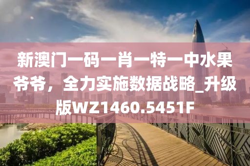 新澳门一码一肖一特一中水果爷爷，全力实施数据战略_升级版WZ1460.5451F