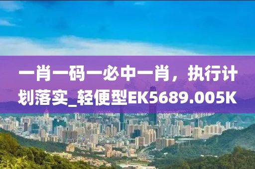 一肖一码一必中一肖，执行计划落实_轻便型EK5689.005K