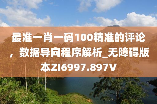 最准一肖一码100精准的评论，数据导向程序解析_无障碍版本ZI6997.897V