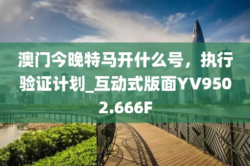 澳门今晚特马开什么号，执行验证计划_互动式版面YV9502.666F