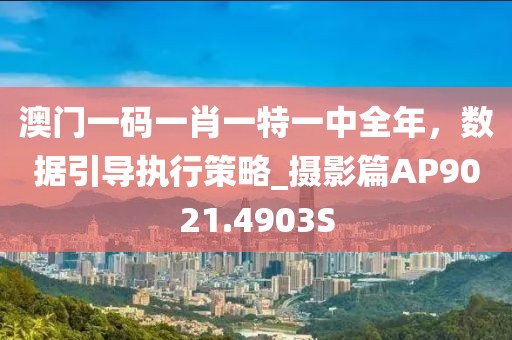 澳门一码一肖一特一中全年，数据引导执行策略_摄影篇AP9021.4903S