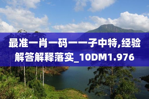 最准一肖一码一一子中特,经验解答解释落实_10DM1.976