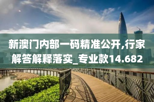 新澳门内部一码精准公开,行家解答解释落实_专业款14.682