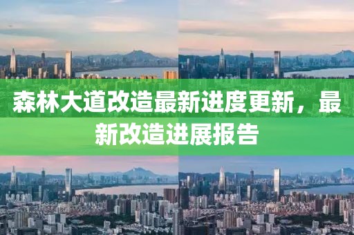 森林大道改造最新进度更新，最新改造进展报告