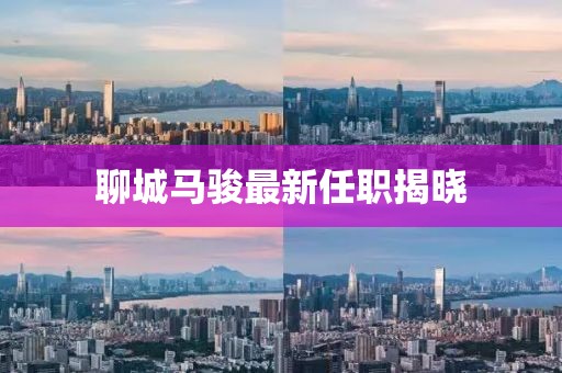 聊城马骏最新任职揭晓