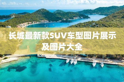 长城最新款SUV车型图片展示及图片大全