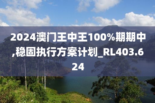 2024澳门王中王100%期期中,稳固执行方案计划_RL403.624