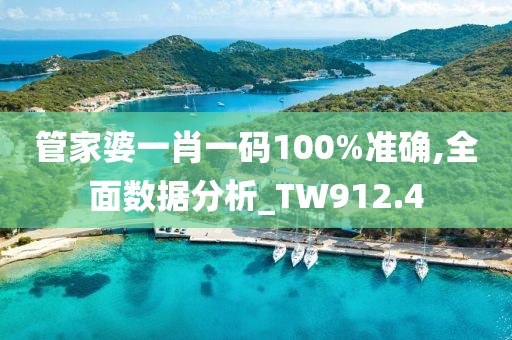 管家婆一肖一码100%准确,全面数据分析_TW912.4