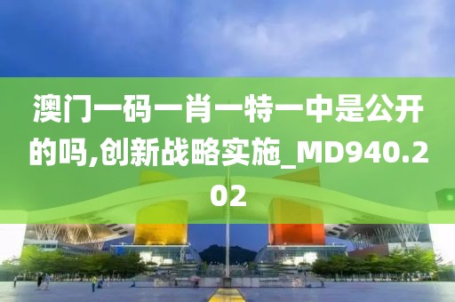 澳门一码一肖一特一中是公开的吗,创新战略实施_MD940.202