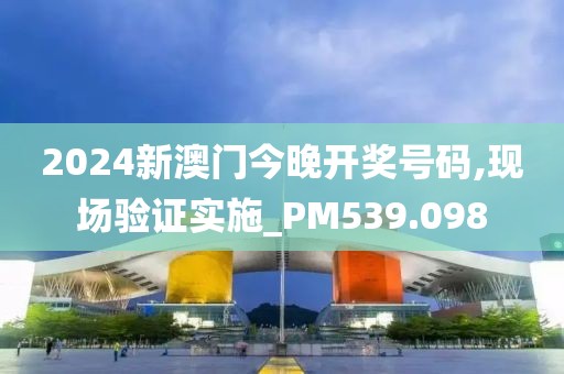 2024新澳门今晚开奖号码,现场验证实施_PM539.098
