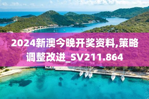 2024新澳今晚开奖资料,策略调整改进_SV211.864