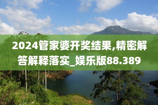 2024管家婆开奖结果,精密解答解释落实_娱乐版88.389