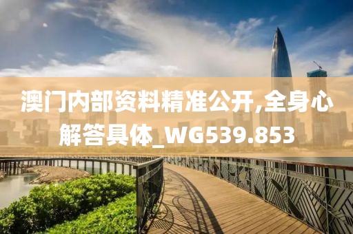 澳门内部资料精准公开,全身心解答具体_WG539.853