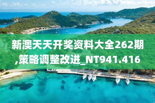 新澳天天开奖资料大全262期,策略调整改进_NT941.416