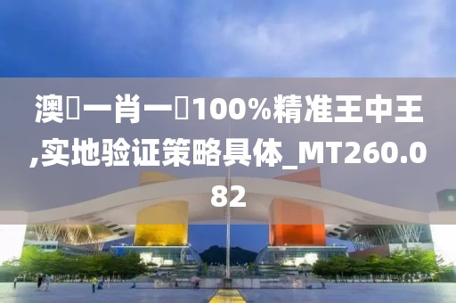 澳門一肖一碼100%精准王中王,实地验证策略具体_MT260.082