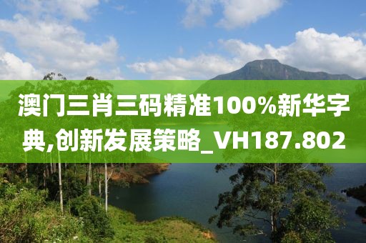 澳门三肖三码精准100%新华字典,创新发展策略_VH187.802