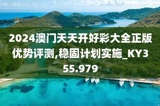 2024澳门天天开好彩大全正版优势评测,稳固计划实施_KY355.979