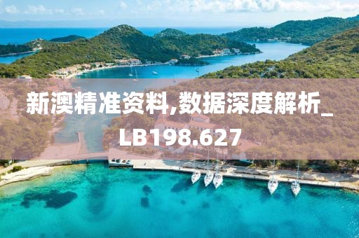 新澳精准资料,数据深度解析_LB198.627
