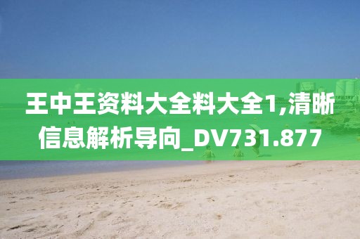 王中王资料大全料大全1,清晰信息解析导向_DV731.877