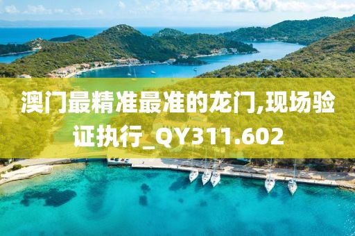 澳门最精准最准的龙门,现场验证执行_QY311.602