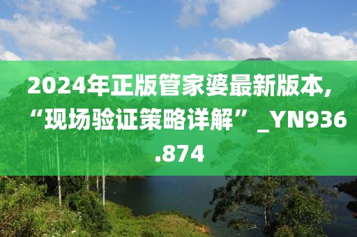 2024年正版管家婆最新版本,“现场验证策略详解”_YN936.874
