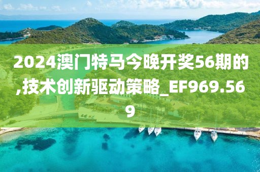 2024澳门特马今晚开奖56期的,技术创新驱动策略_EF969.569
