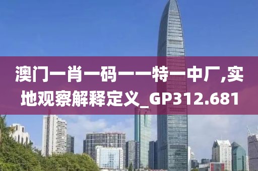 澳门一肖一码一一特一中厂,实地观察解释定义_GP312.681