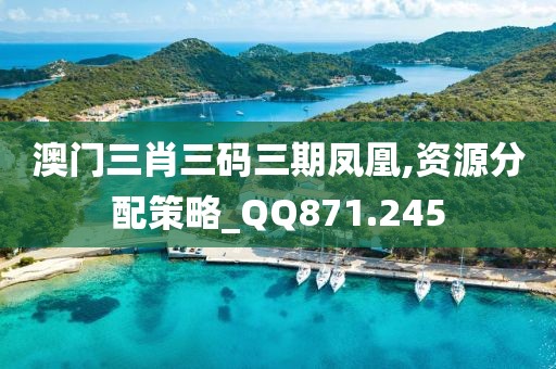 澳门三肖三码三期凤凰,资源分配策略_QQ871.245