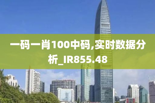 一码一肖100中码,实时数据分析_IR855.48