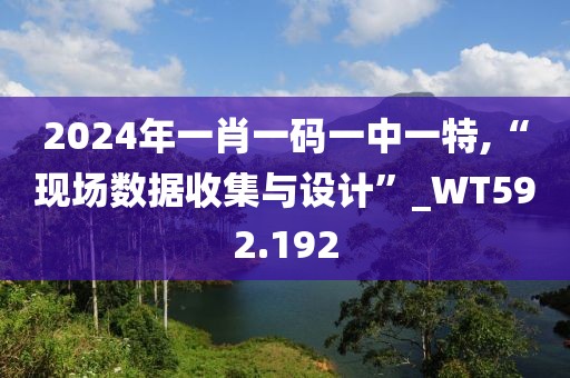 2024年一肖一码一中一特,“现场数据收集与设计”_WT592.192