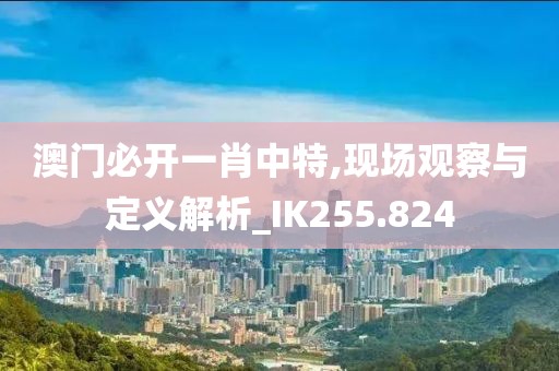 澳门必开一肖中特,现场观察与定义解析_IK255.824