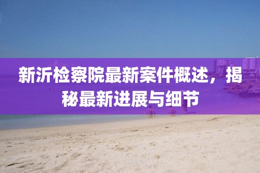 新沂检察院最新案件概述，揭秘最新进展与细节