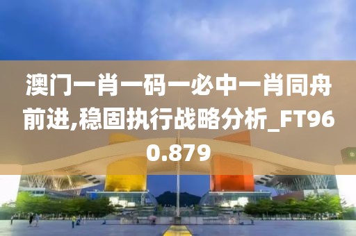 澳门一肖一码一必中一肖同舟前进,稳固执行战略分析_FT960.879