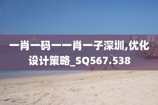 一肖一码一一肖一子深圳,优化设计策略_SQ567.538
