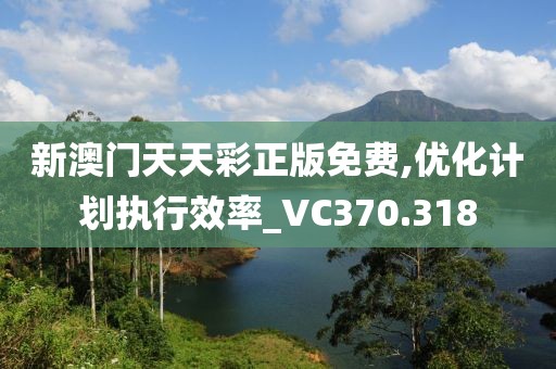新澳门天天彩正版免费,优化计划执行效率_VC370.318