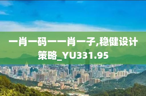 一肖一码一一肖一子,稳健设计策略_YU331.95