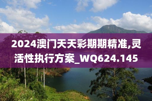 2024澳门天天彩期期精准,灵活性执行方案_WQ624.145