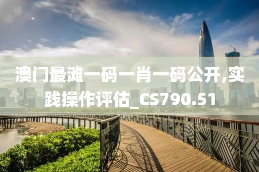 澳门最滩一码一肖一码公开,实践操作评估_CS790.51